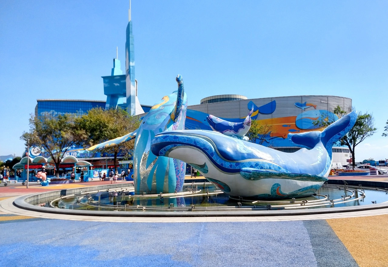 ที่เที่ยวชิงเต่า พิพิธภัณฑ์สัตว์น้ำชิงเต่า (Qingdao Underwater World) 