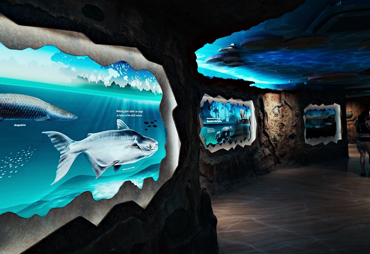 S.E.A. Aquarium พิพิธภัณฑ์สัตว์น้ำที่เที่ยวสิงคโปร์บนเกาะ Sentosa