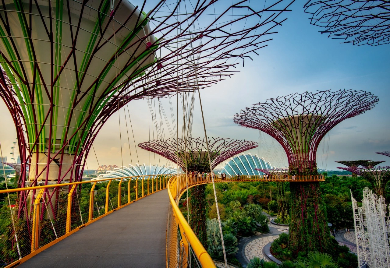 Gardens by the Bay สวนริมทะเลที่เที่ยวสิงคโปร์สวยงามยามค่ำคืน