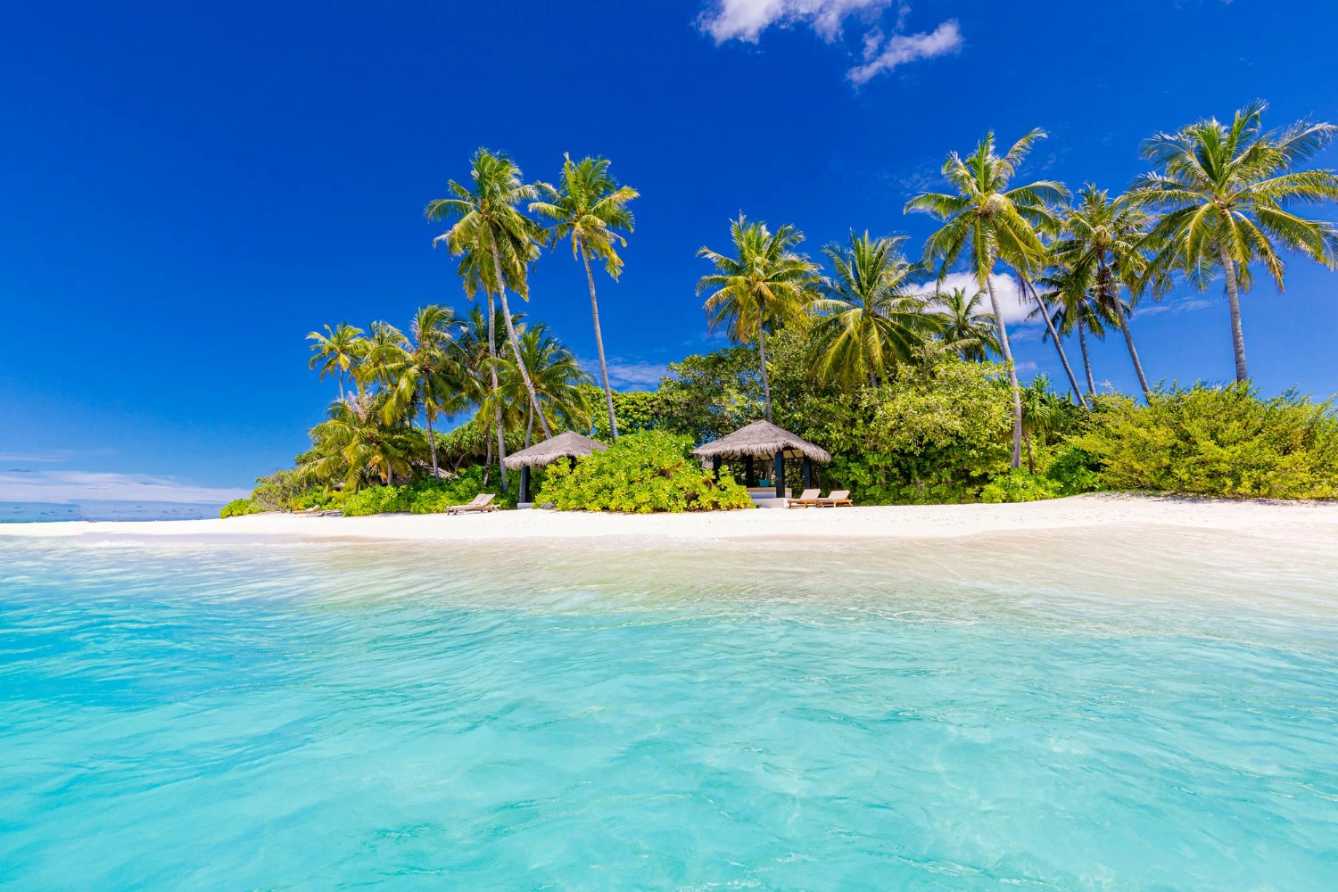 island-with-palm-trees-in-front-of-the-sea