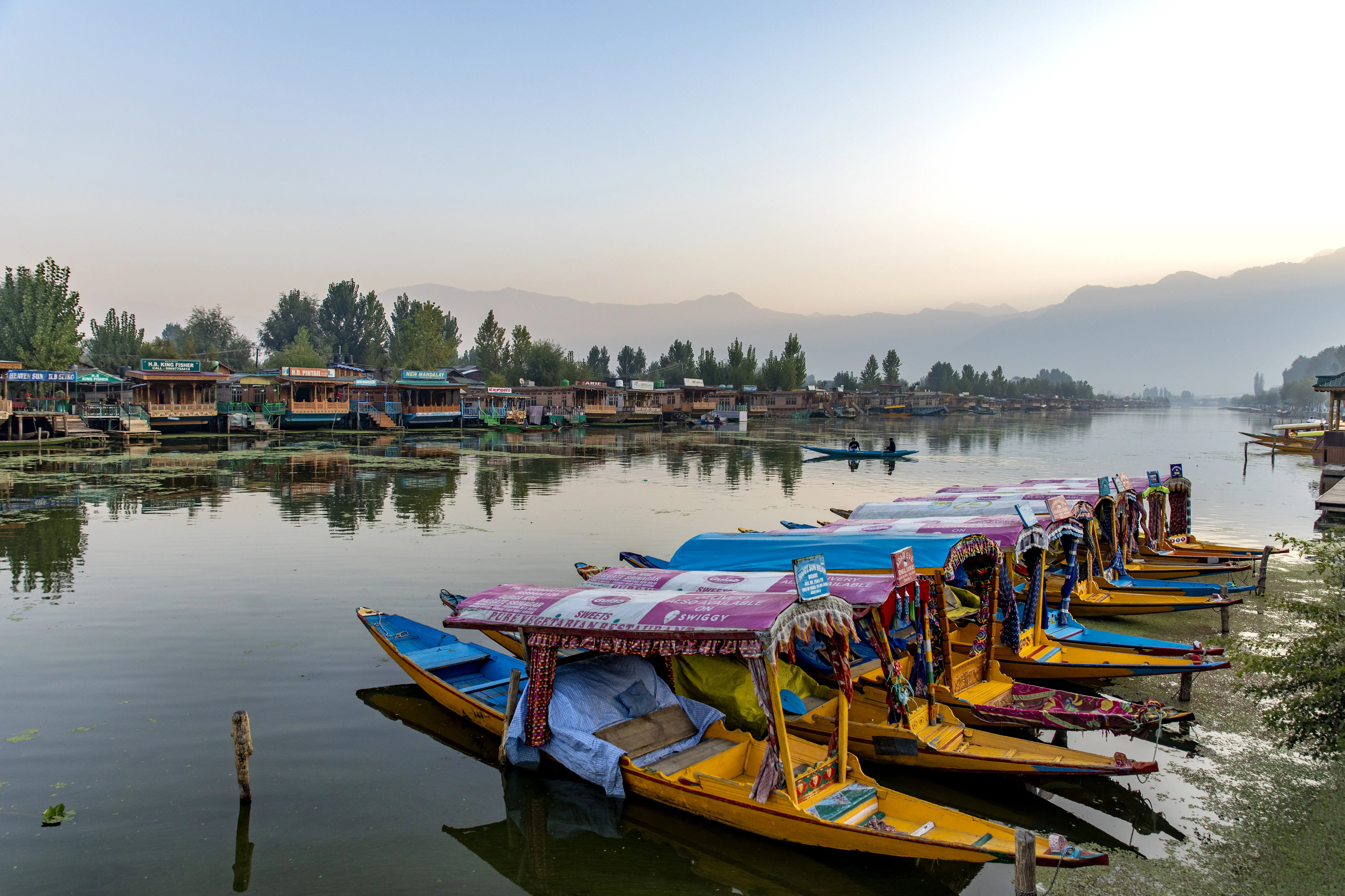 Dal Lake Srinagar in Kashmir, India