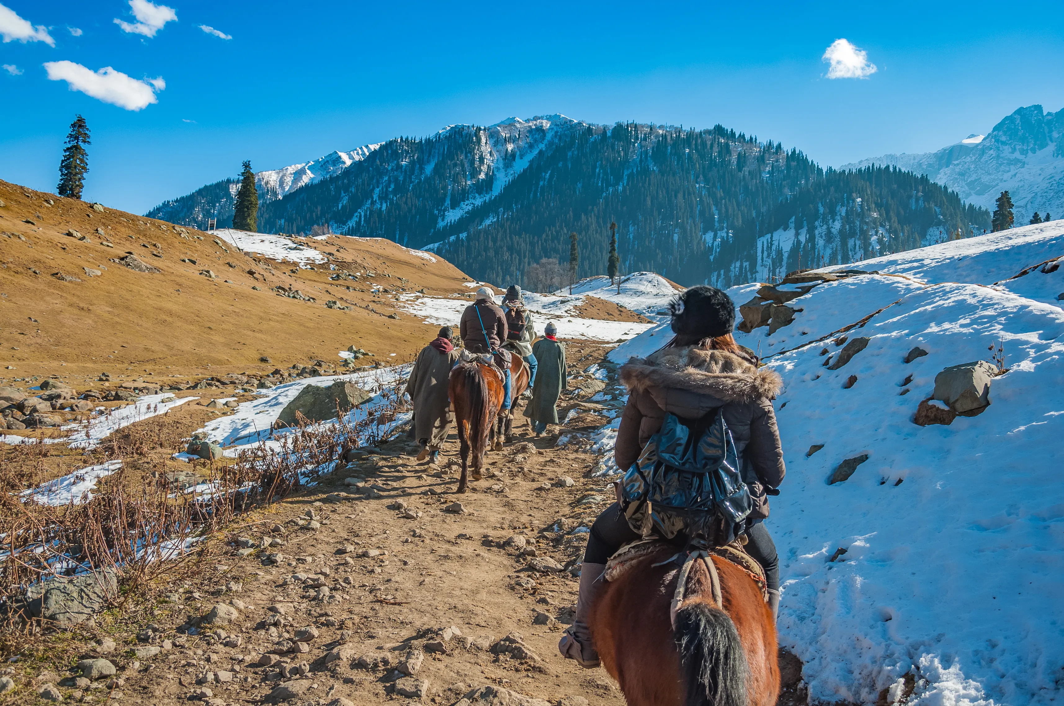 Horse Riding in Sonamarg, Kashmir