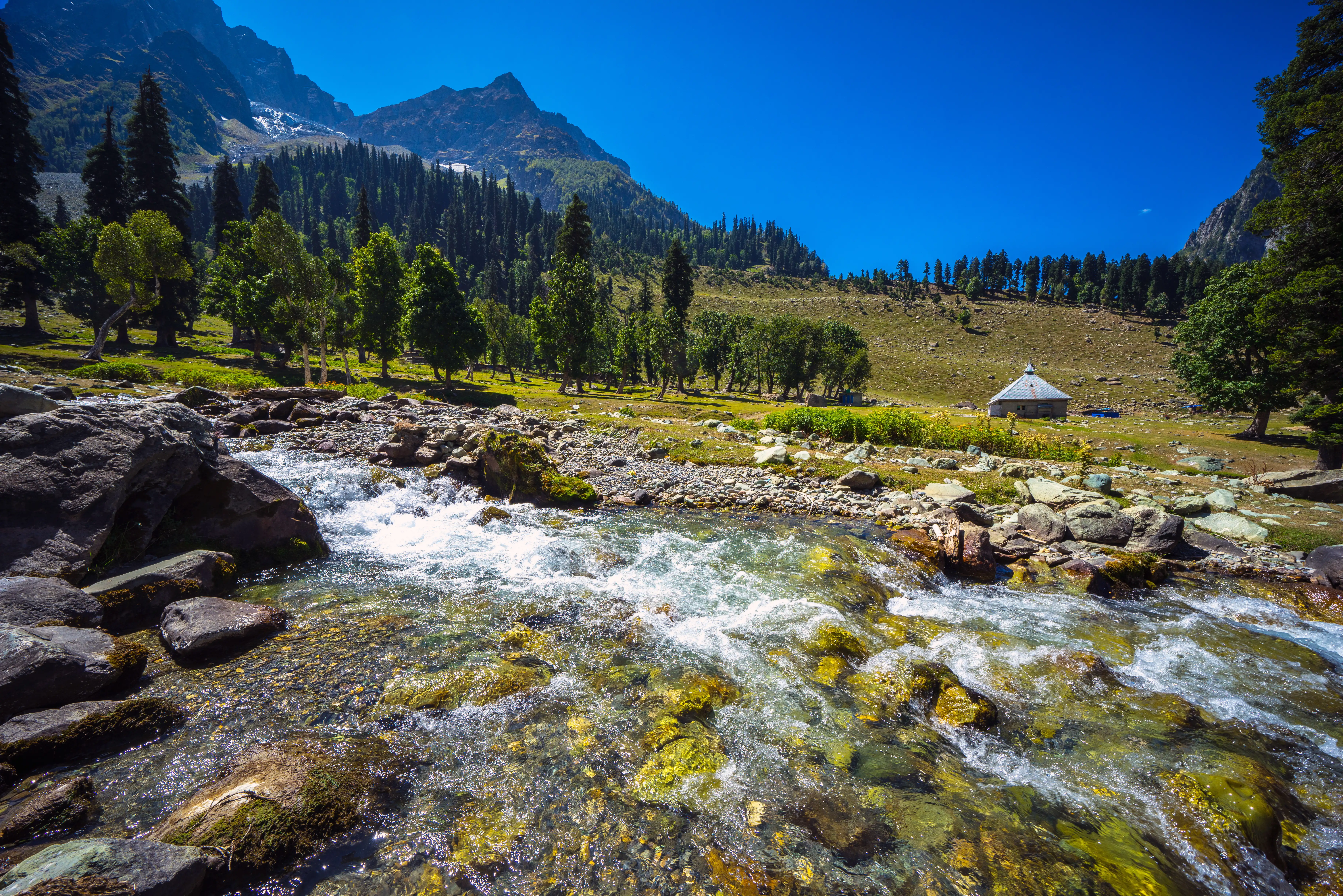 Sonamarg valley of Kashmir 