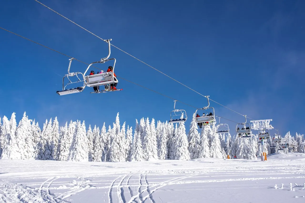 Chairlifts carrying skiers over a snowy forest under a clear blue sky