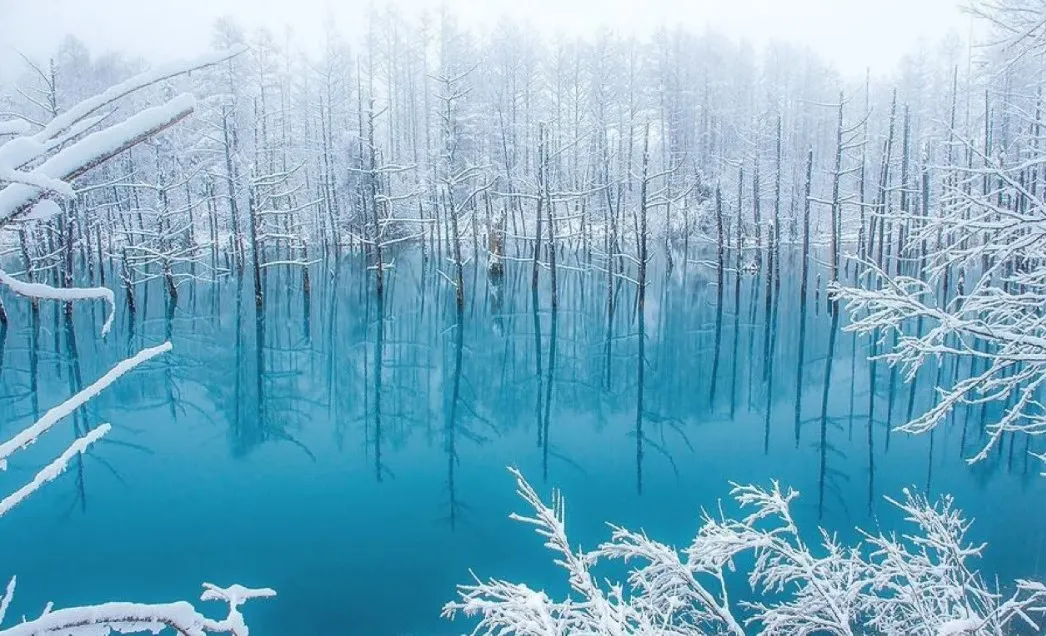 A landscape showcase image reflecting light from trees among the Shirogane Blue Pond in Biei Funaro 