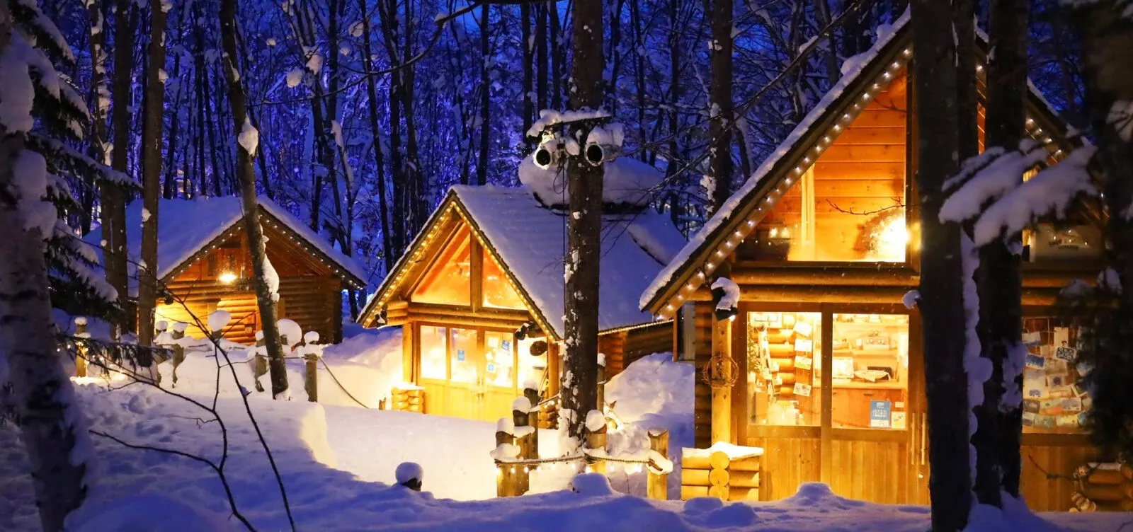 A landscape shot displaying three bungalow houses with decorated lights in Furano village in Japan 