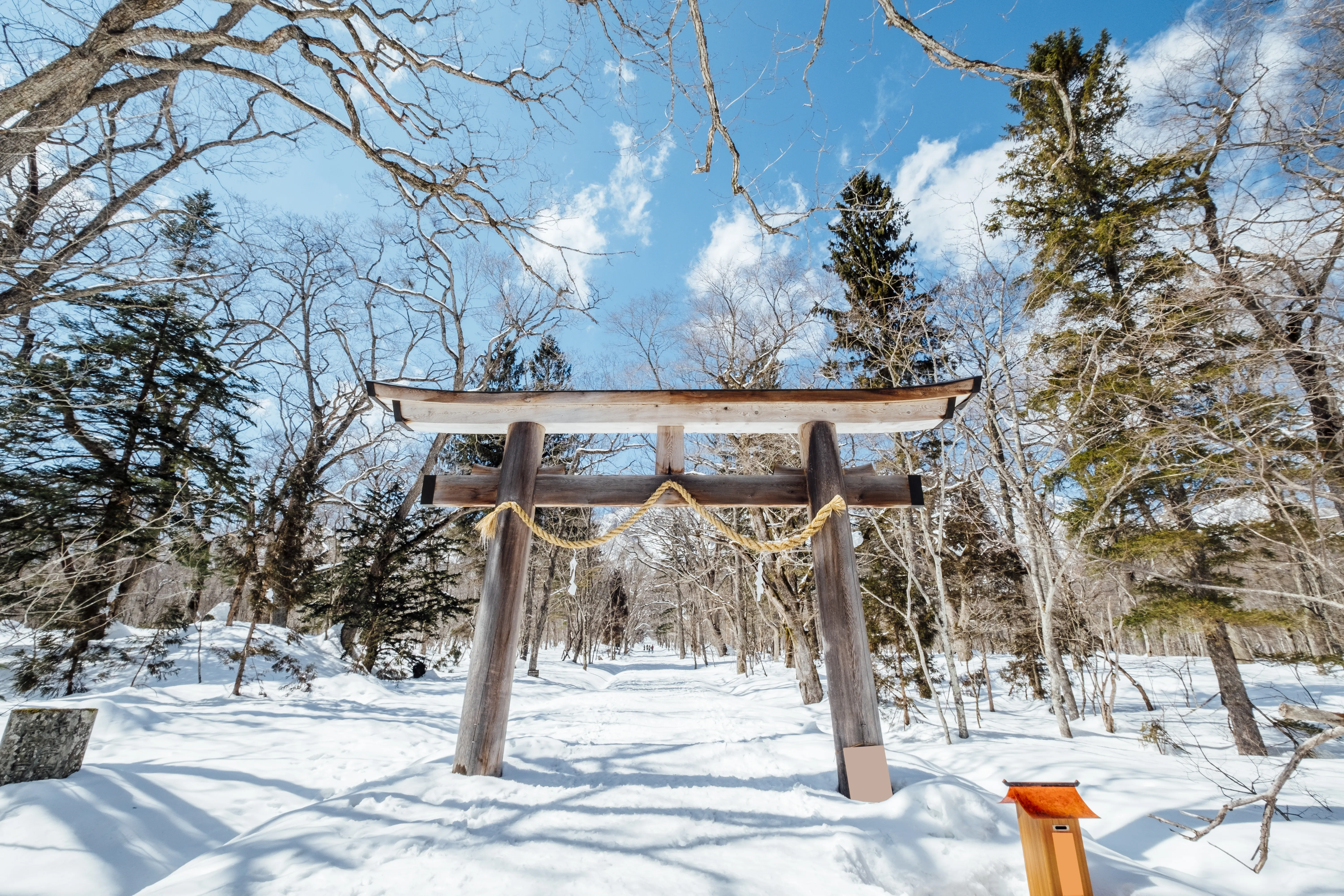 A snowy sunny day with clear sky covered by snow and trees in Furano village in Japan