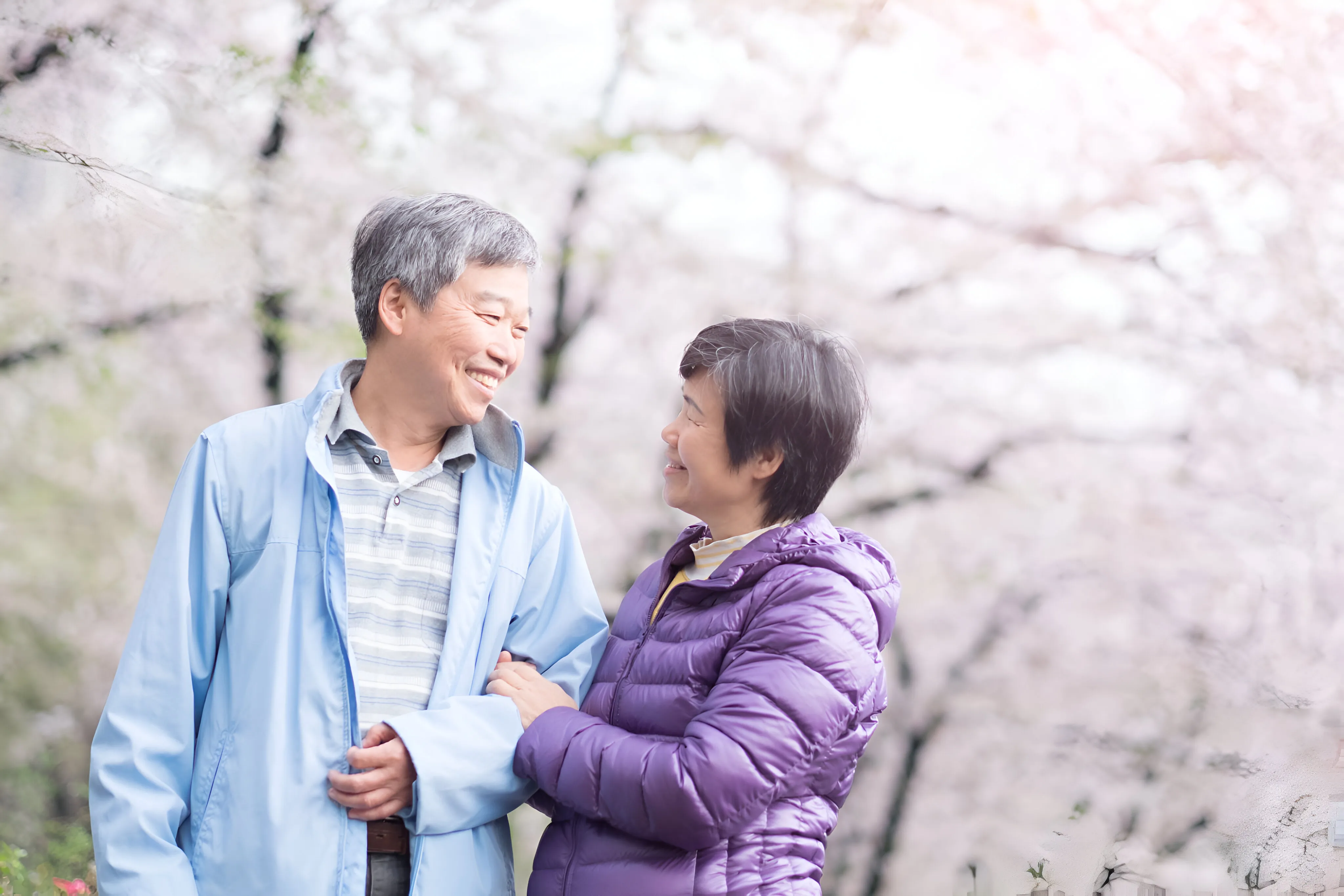 An elderly Asian couple smiling and looking at each other in a park with blossoming trees