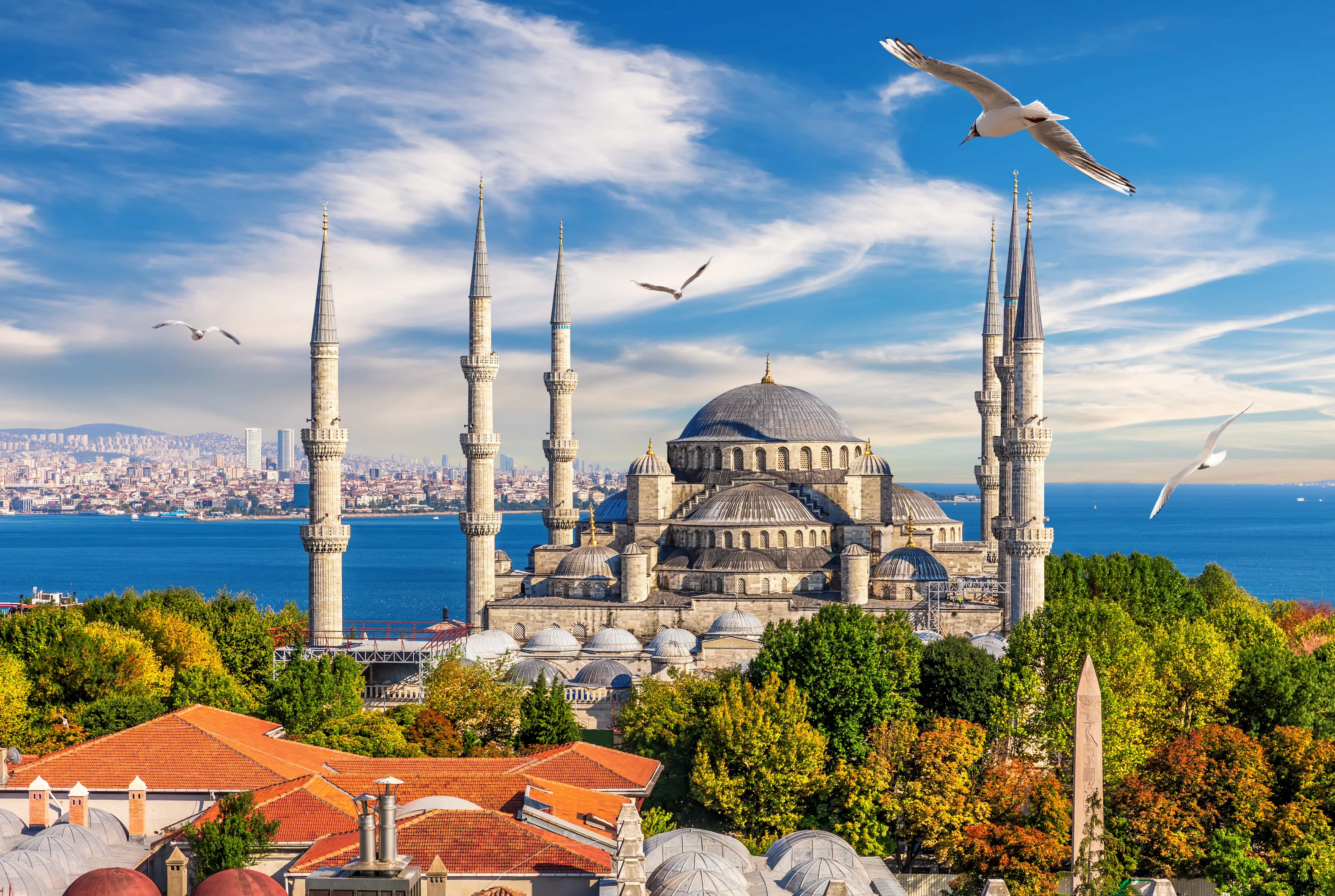  An architectural and landscape photograph shows the Blue Mosque (Sultan Ahmed Mosque) overlooking the Bosporus Strait in Istanbul, Turkey