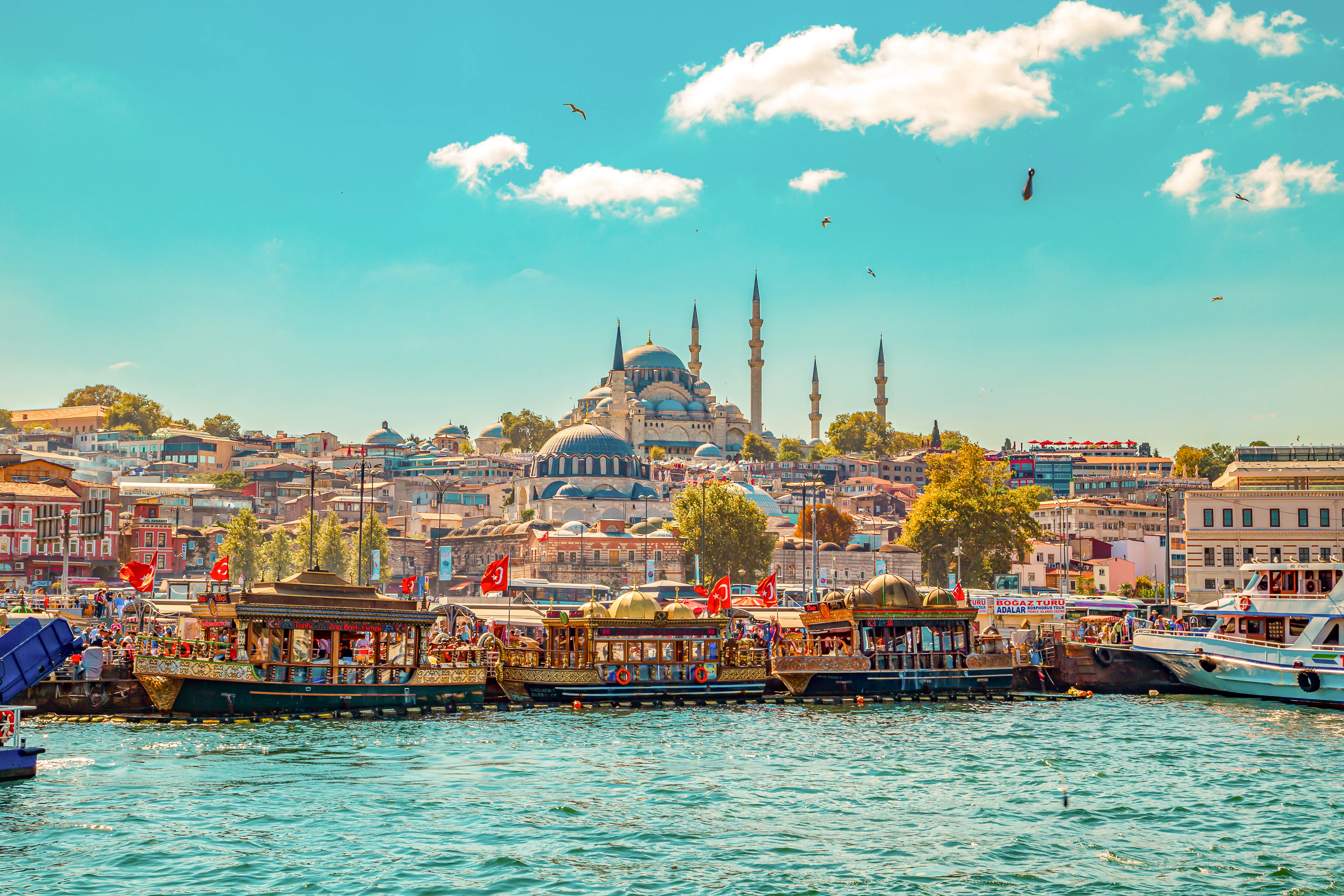 An architectural and landscape photograph shows the Süleymaniye Mosque rising above the Eminönü waterfront in Istanbul, Turkey