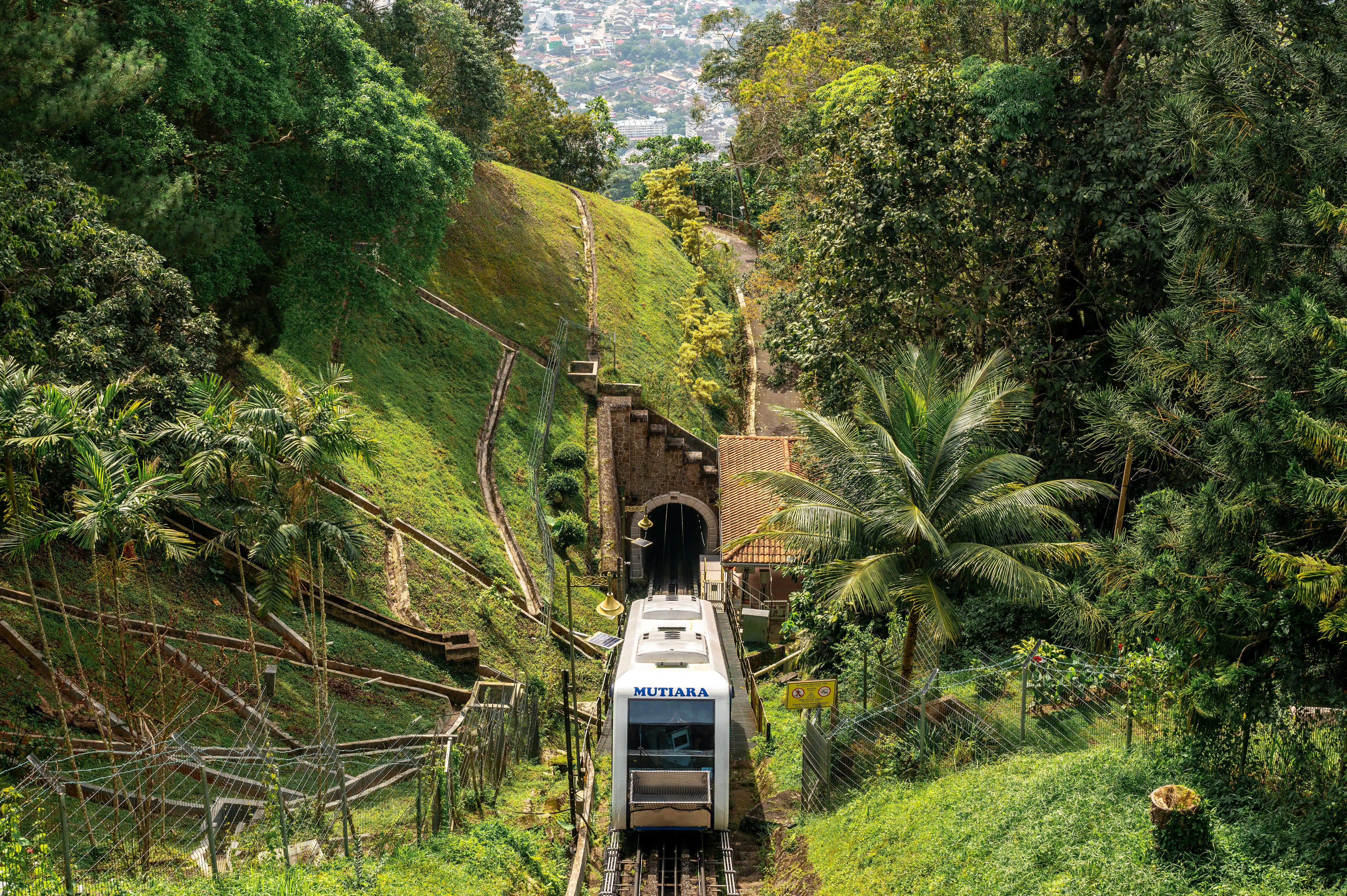 A funicular train ascending a steep track on a lush, forested hill toward a brick tunnel entrance