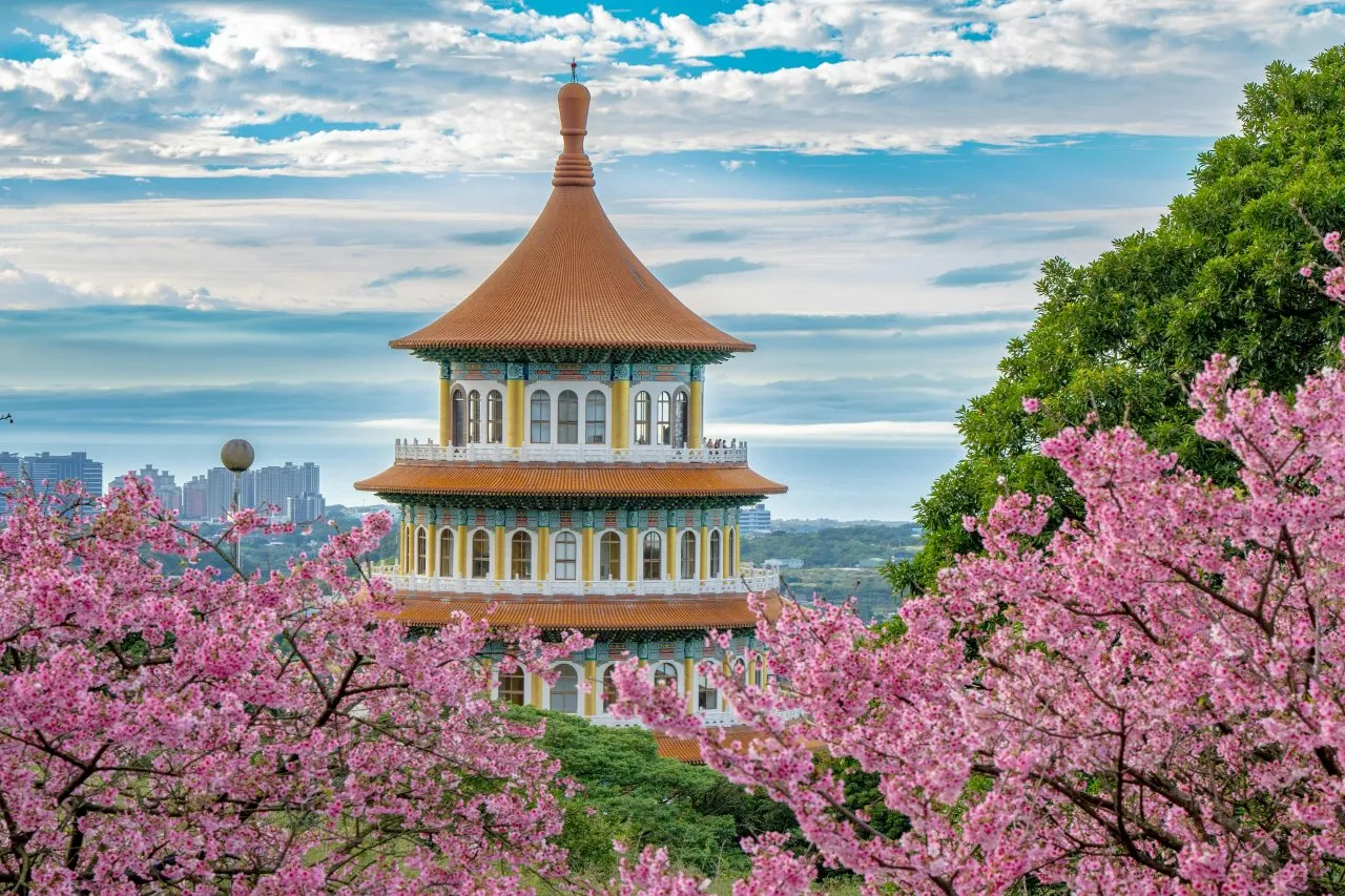 Cherry Trees blossoms around Wuji Tianyuan Temple in Taipei
