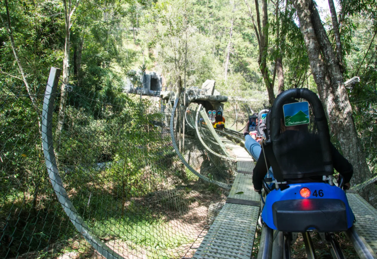 กิจกรรม adventure ต่างประเทศ รถไฟเหาะ Alpine Coaster ดาลัด