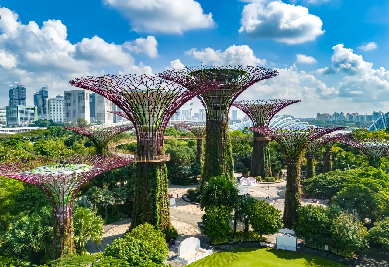 ที่เที่ยวเด็กสิงคโปร์ การ์เด้นส์ บาย เดอะ เบย์ ต้นไม้ยักษ์ Supertree Grove