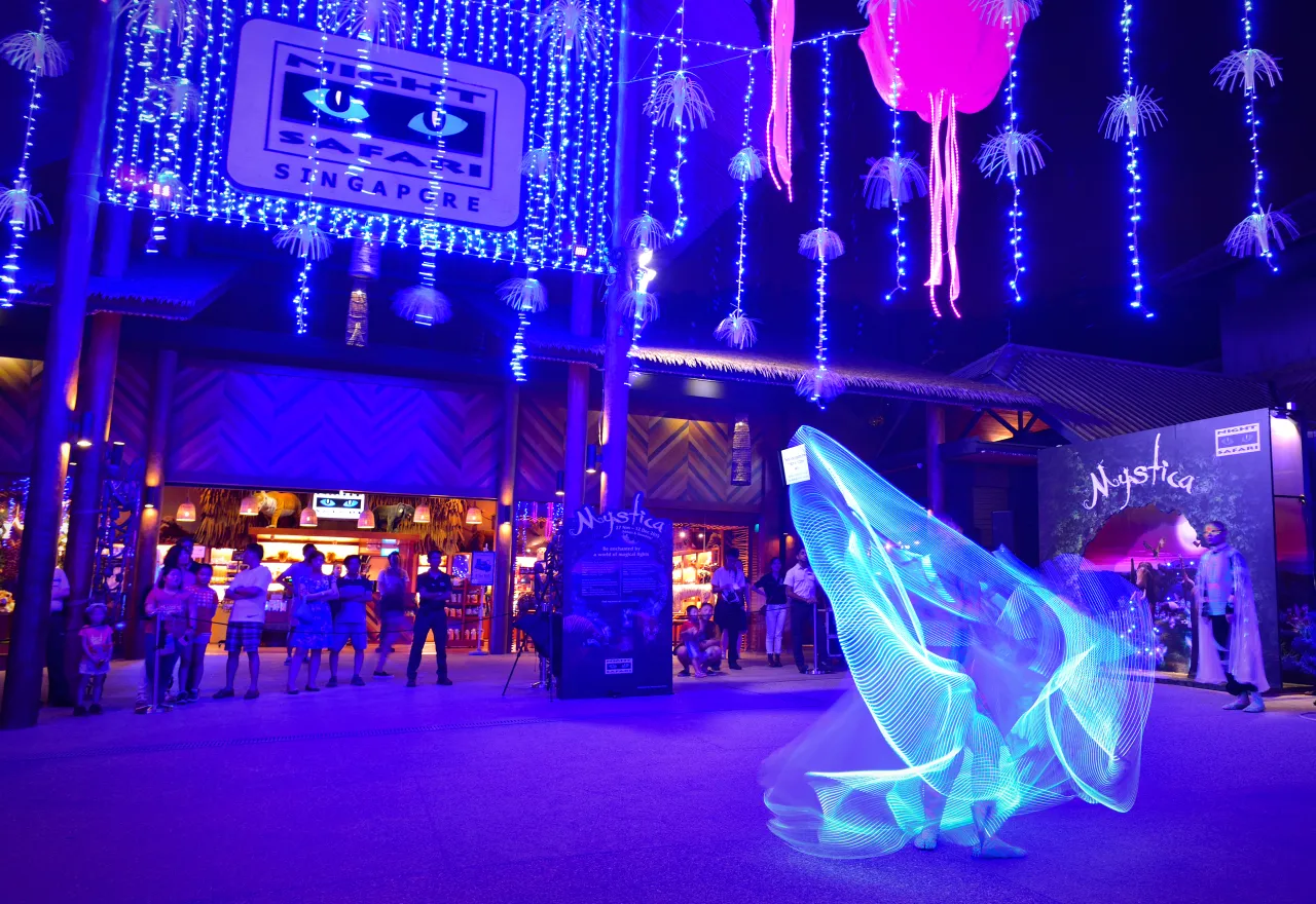 ไนท์ซาฟารี ที่เที่ยวเด็กสิงคโปร์นั่งรถรางชมสัตว์กลางคืน