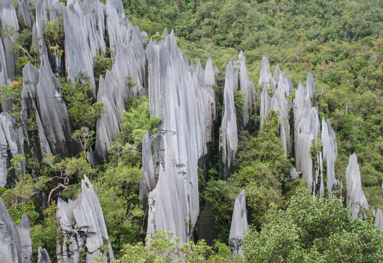 อุทยานแห่งชาติกูนุงมูลู มรดกโลก UNESCO สถานที่เที่ยวมาเลเซียที่มีเอกลักษณ์