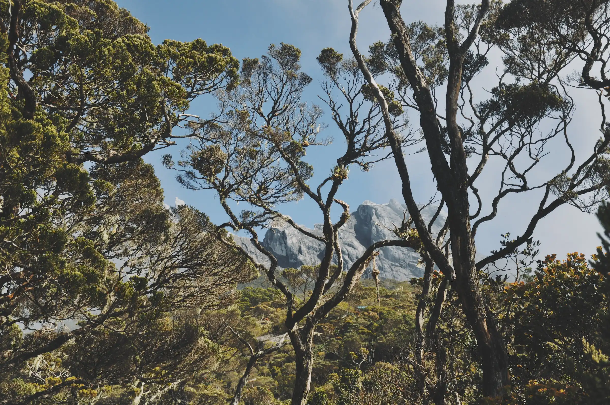 Kinabalu-national-park-view