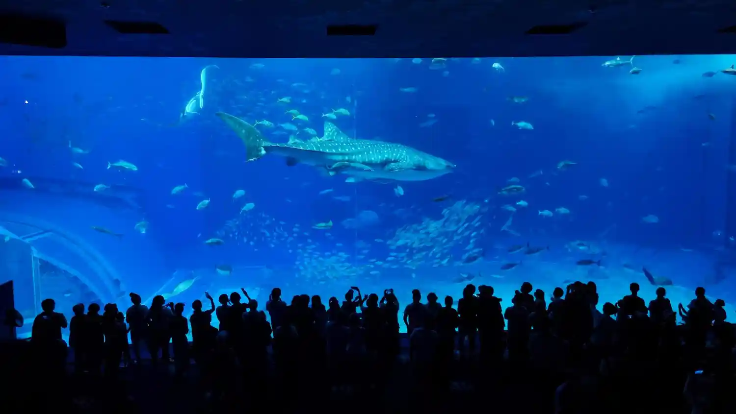 Marine World Uminonakamichi, Fukuoka