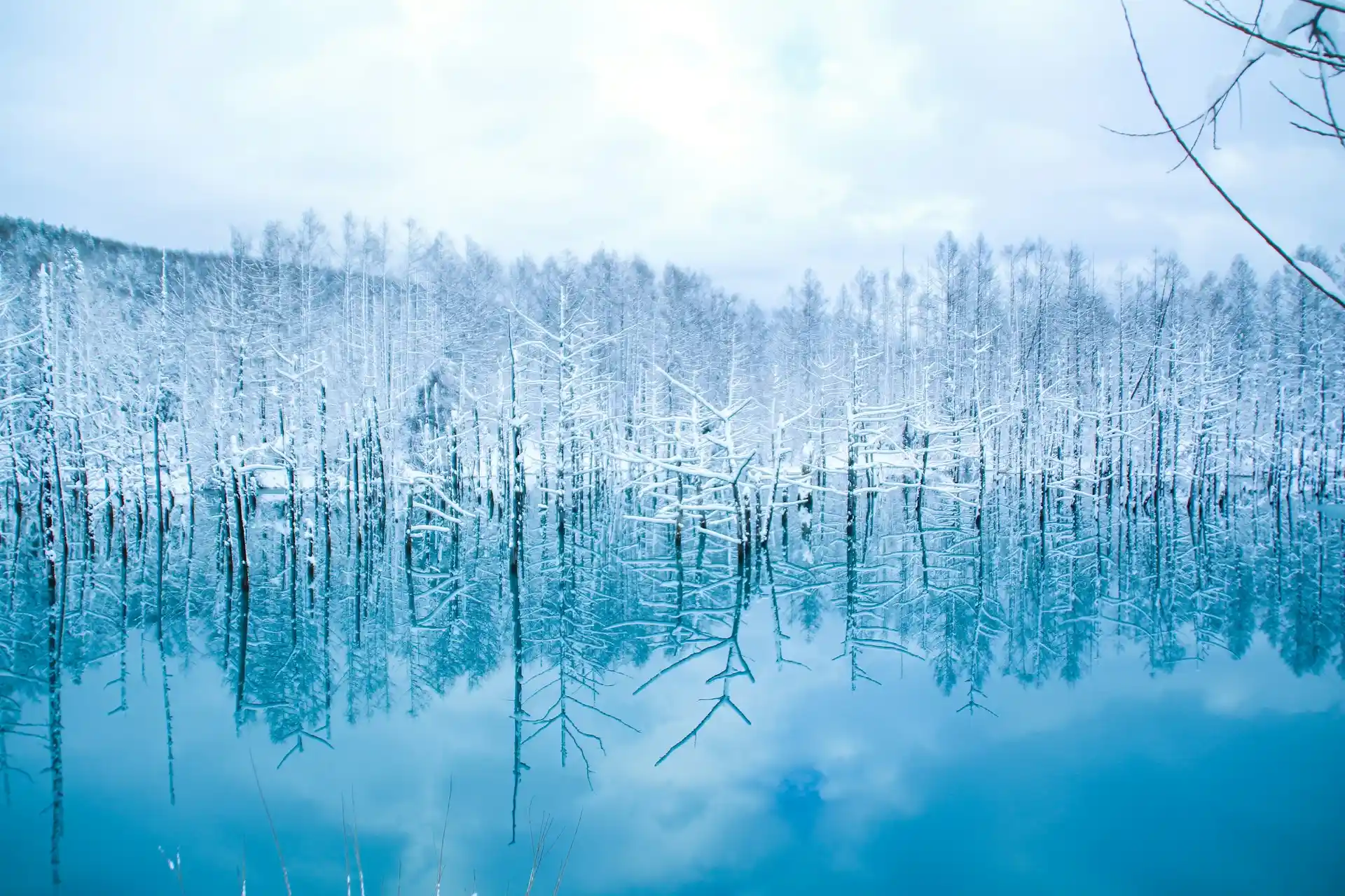 Blue pond in Winter, Hokkaido, Japan 