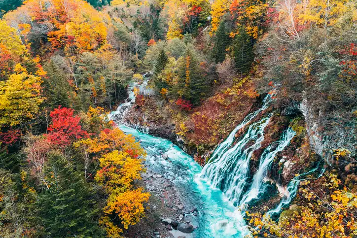 Bird Eyes View of Shirahige Waterfall  